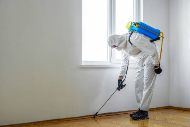 Best Affordable Pest Control Services  in Indian Hills, NM
