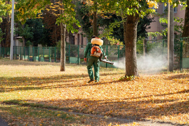 Pest Control Cost in Indian Hills, NM